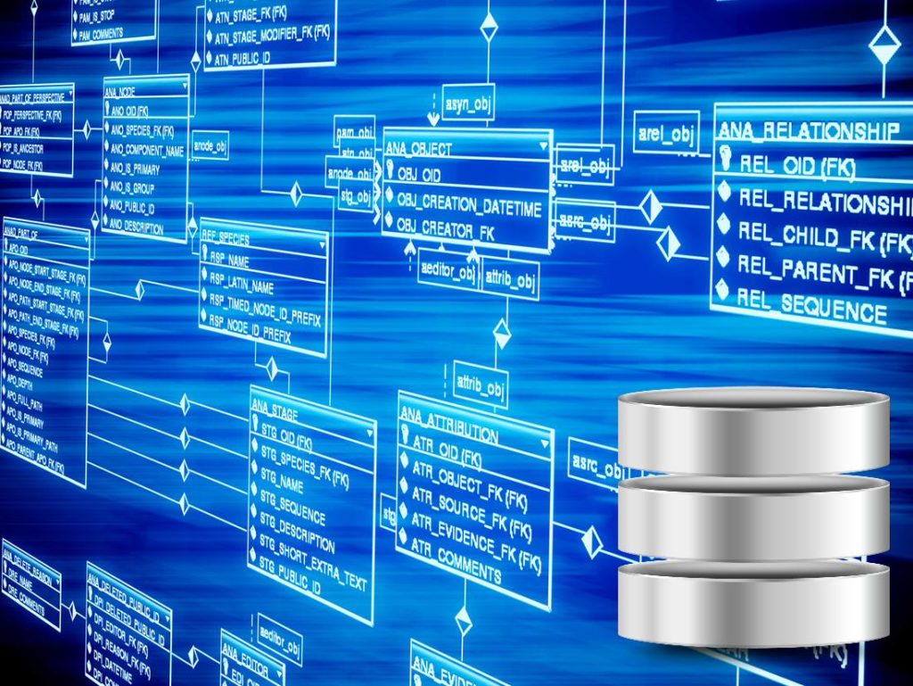Functions and capabilities of file storage systems