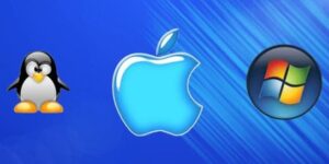 How to choose the right operating system for your server